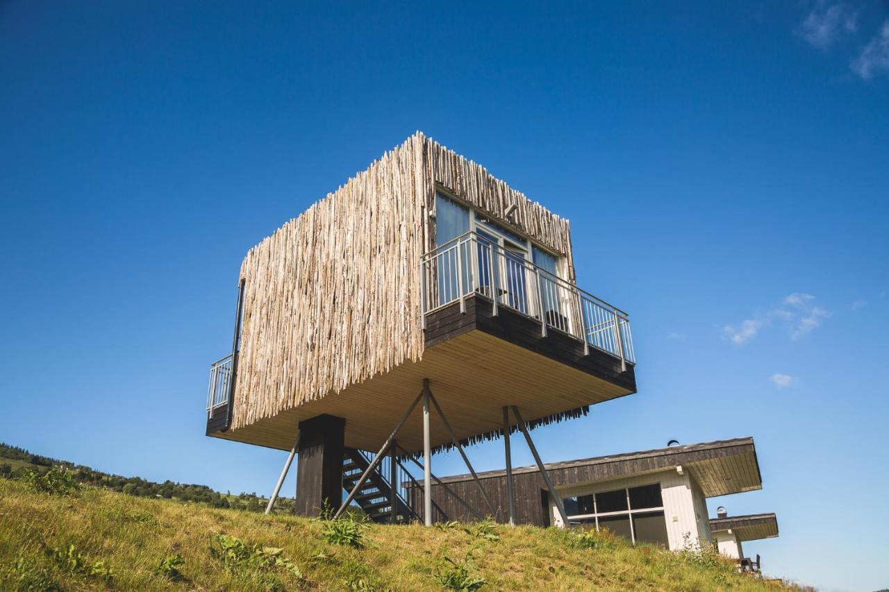 Stilt Cabin