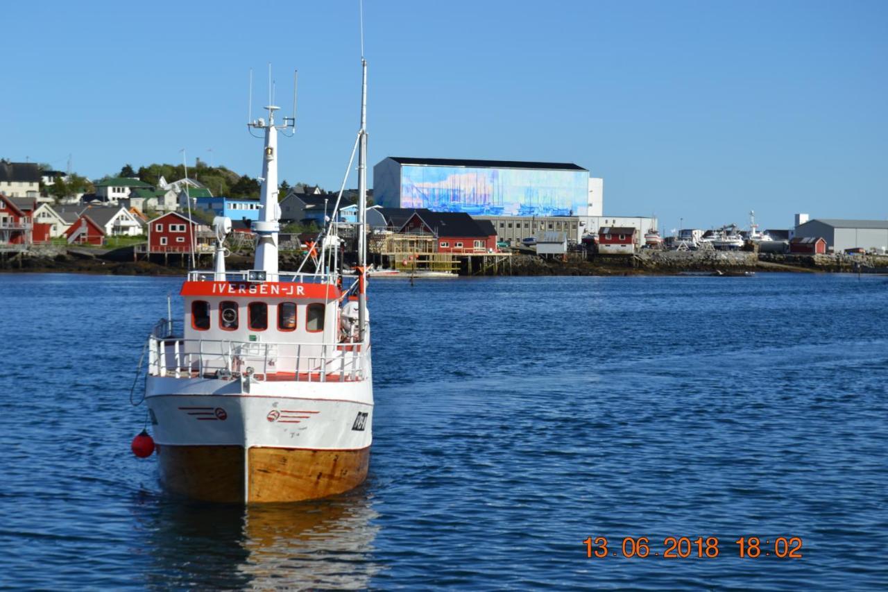 Hytte 9
