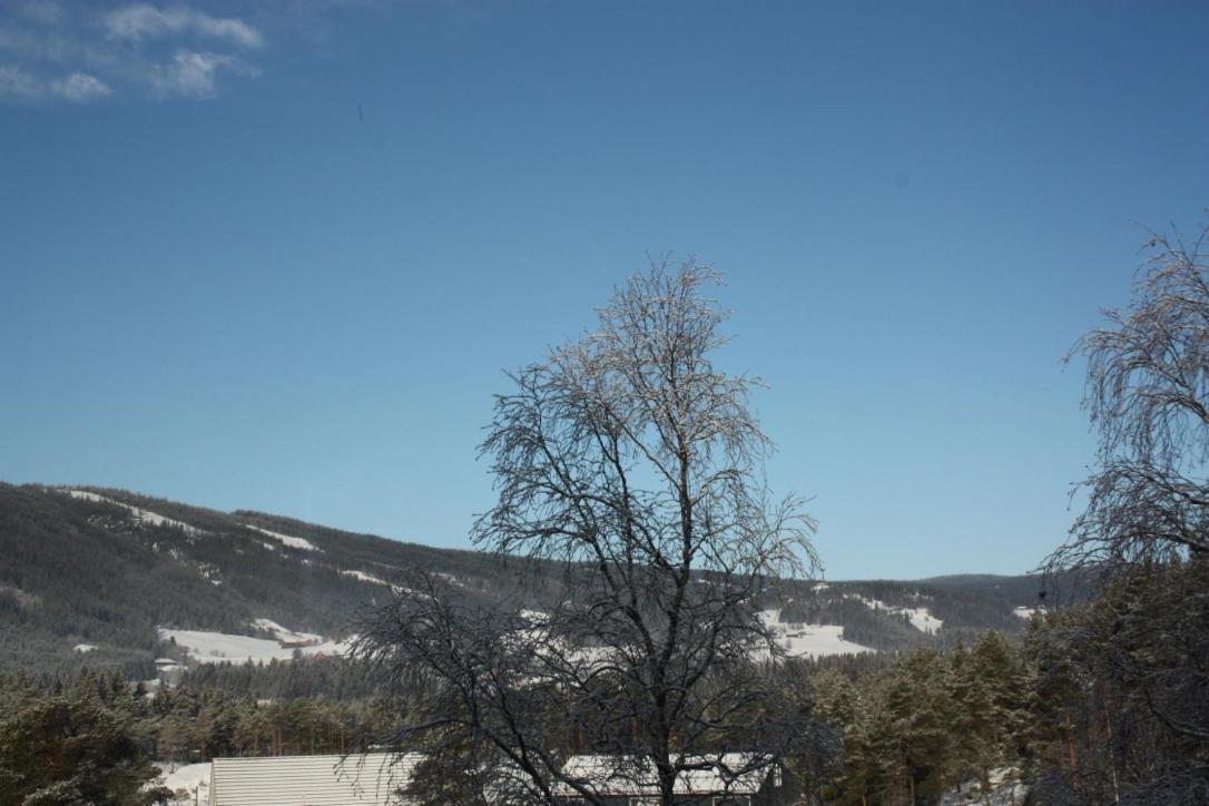 Leilighet