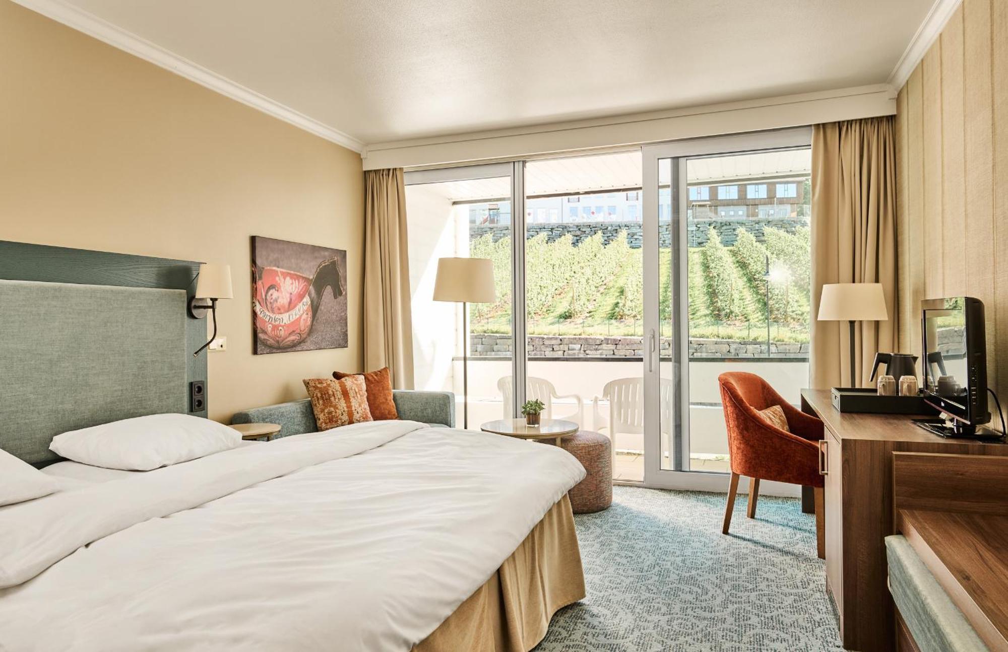 Superior Twin Room Mountain View