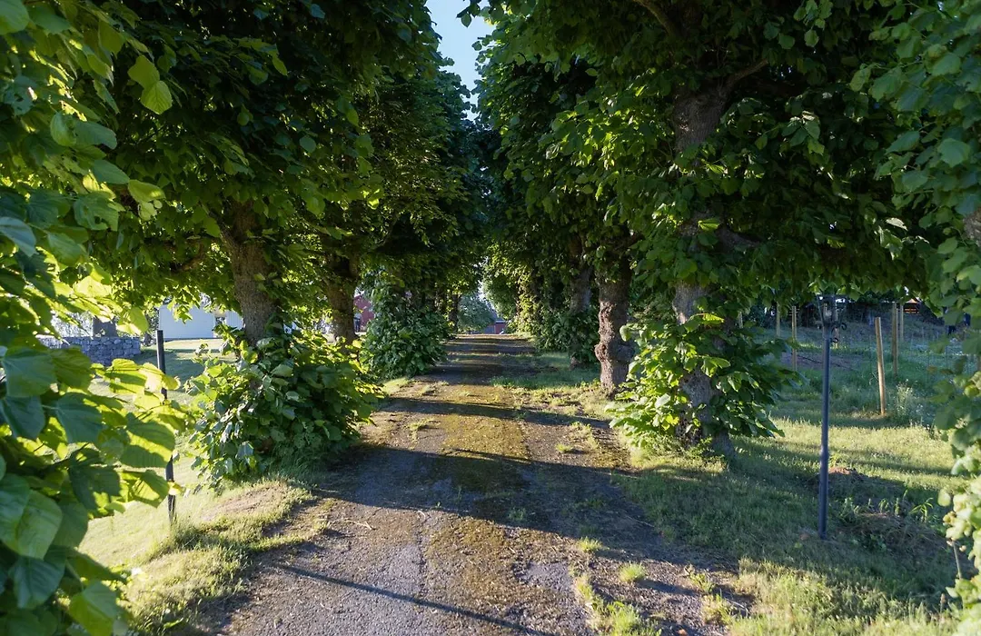 Dal Gjestegaard-1