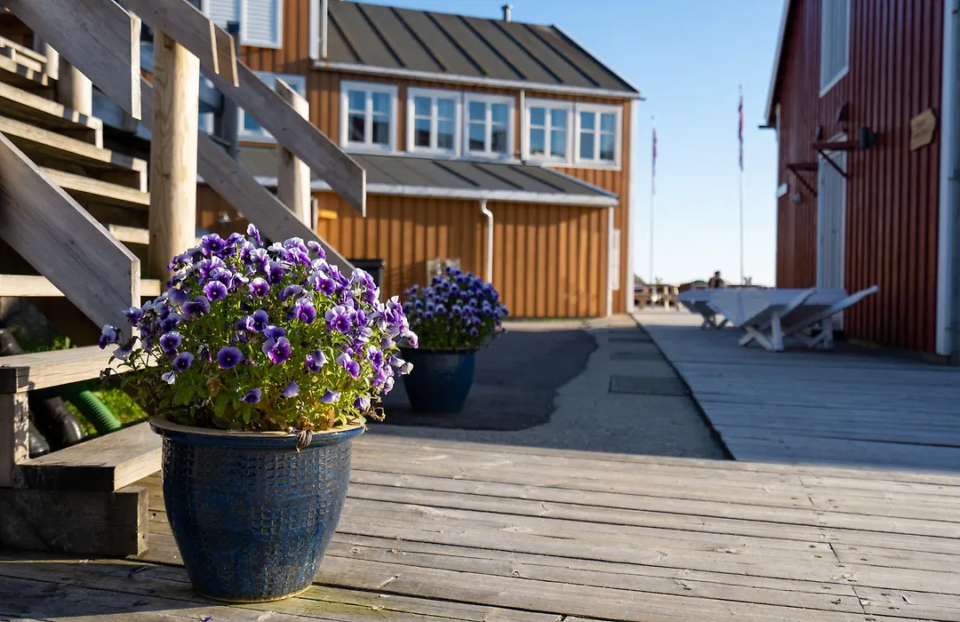 Nyvagar Rorbuhotell - By Classic Norway Hotels-1