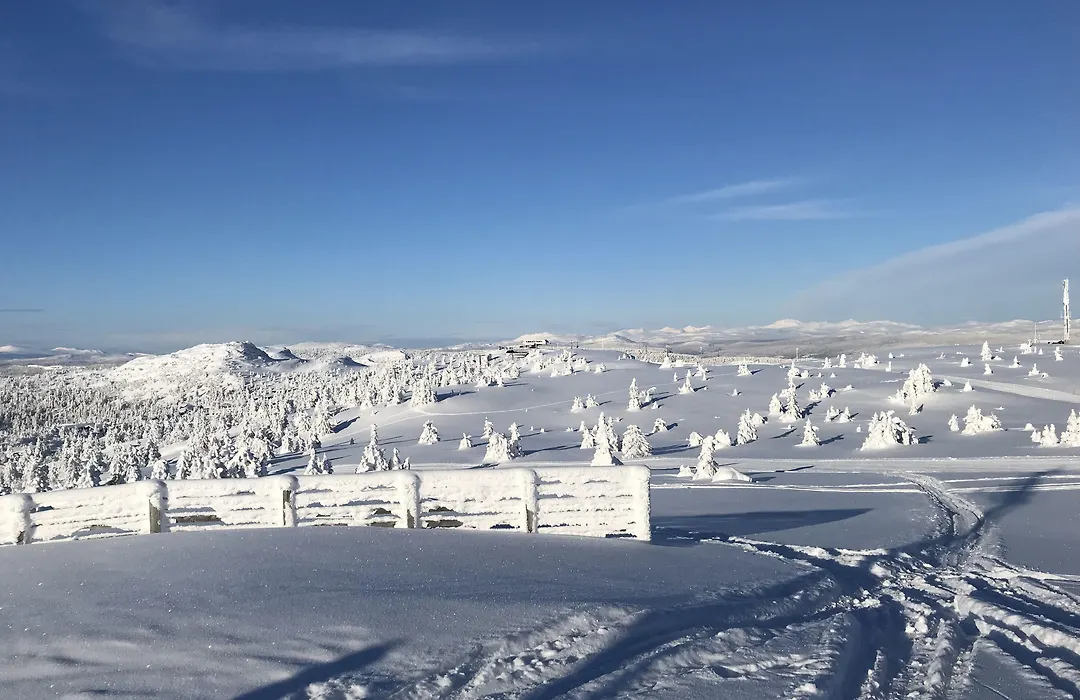 Glomstad Gjestehus-1