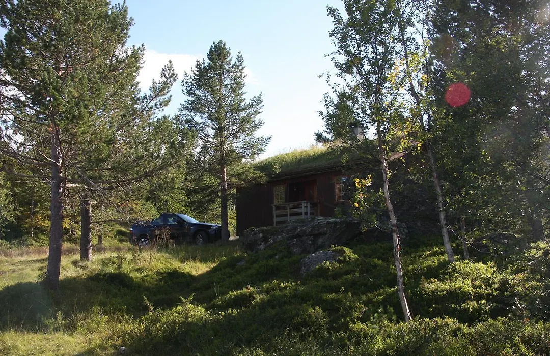 Lemonsjo Fjellstue Og Hyttegrend-1