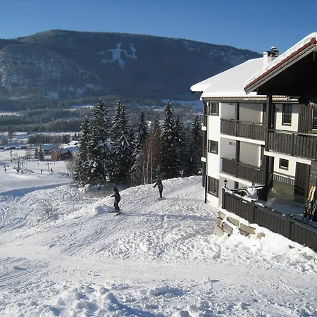 Alpin Apartments Solsiden-2