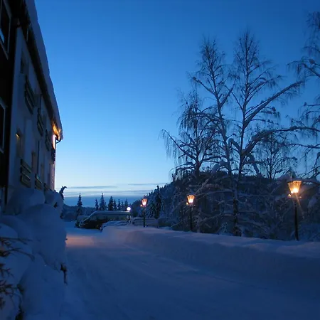 Morgedal Hotel-2