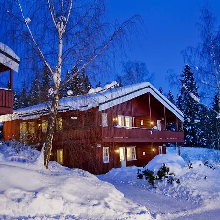 Birkebeineren Hotel & Apartments-3