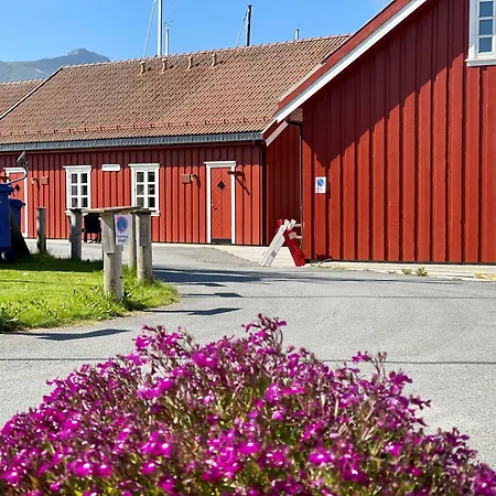 Anker Brygge-3