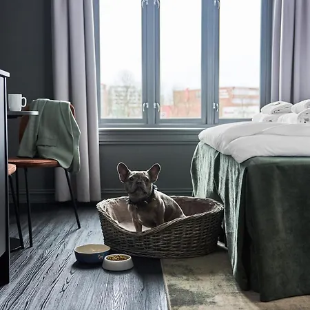 Hotel Filip-3