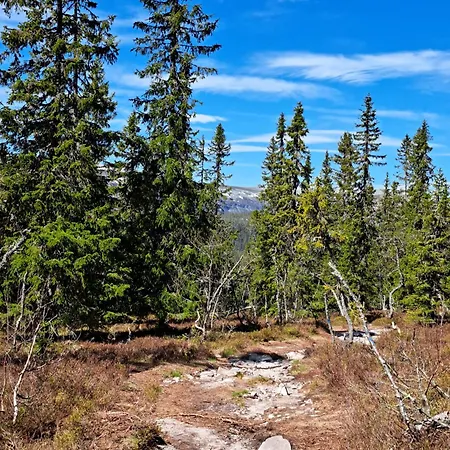 Kjølen Hotel Trysil-3