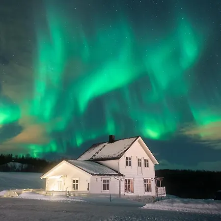 Aurora Borealis Observatory-2