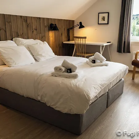 Fugl Fonix Hotel-3