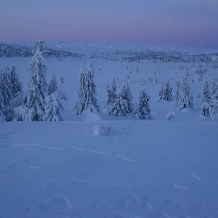 Lillehammer Fjellstue og Hytteutleie-3