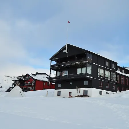 Finse 1222-2