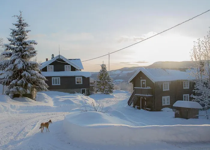 Eikre Fjellgård Hotell Hemsedal