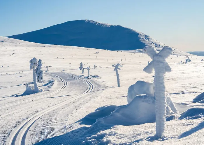 Villa Sole, Trysil