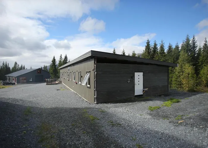 Blåfjell hundesenter fjellhotell