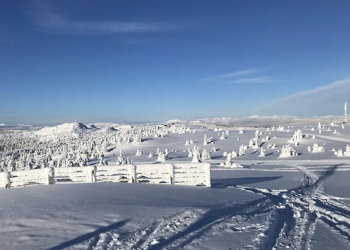 Glomstad Gjestehus Tretten